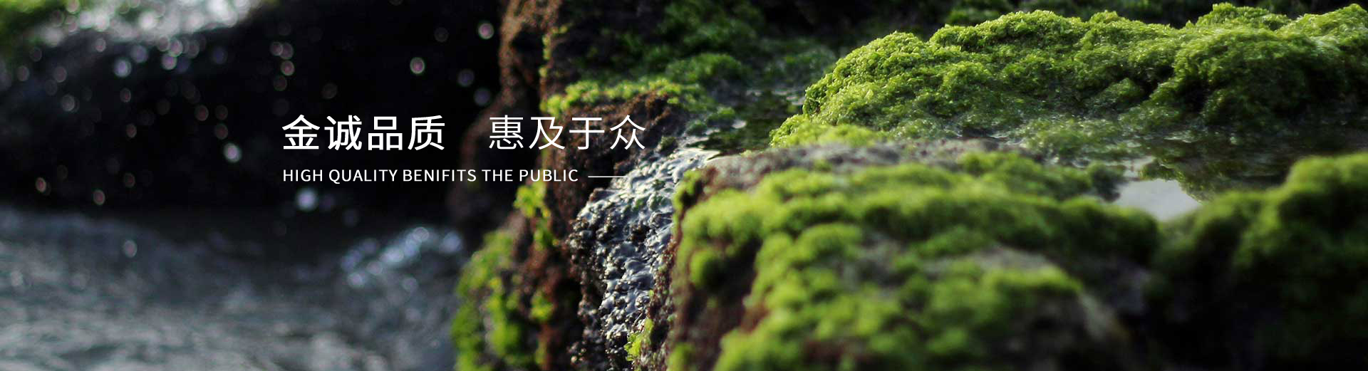 首頁banner2
